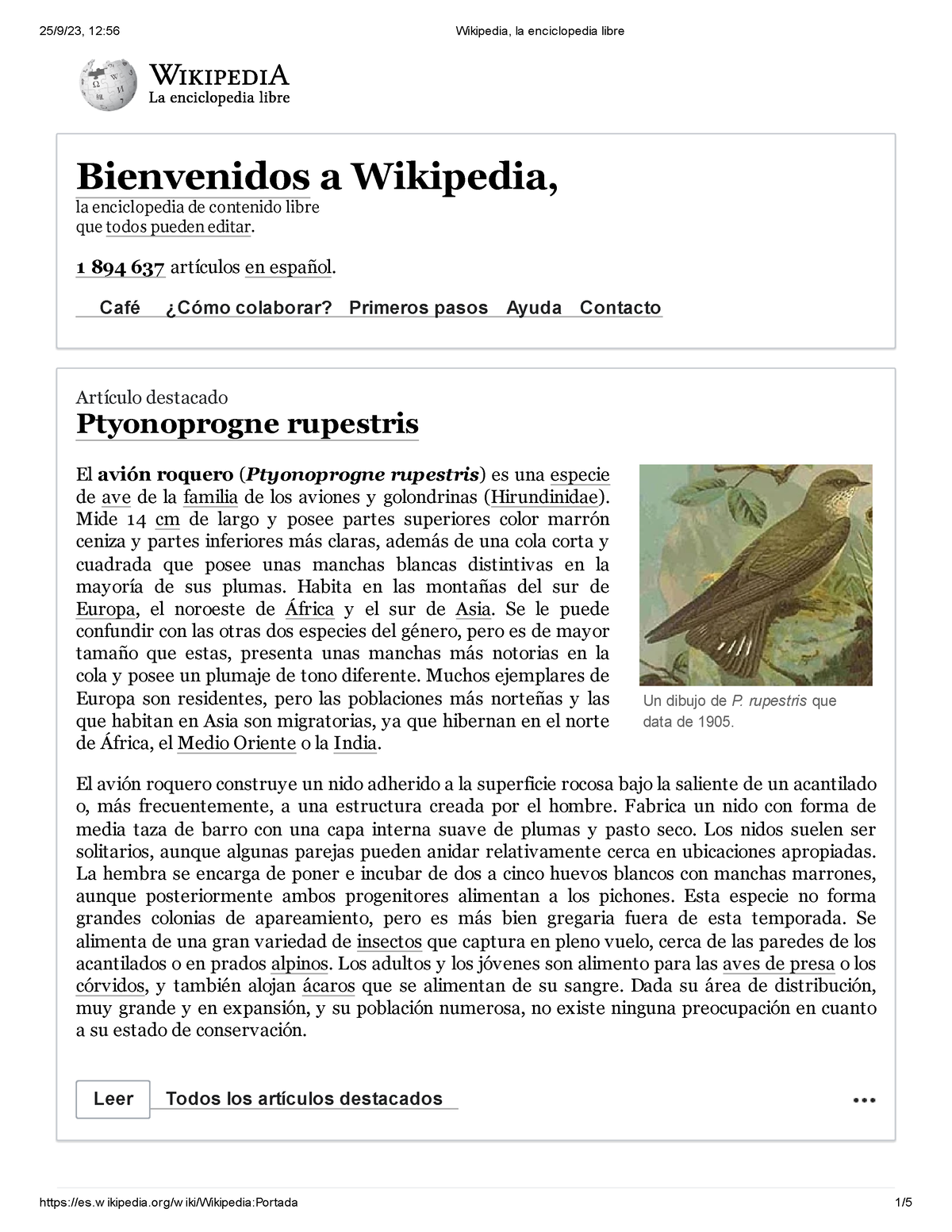 Wikipedia, La Enciclopedia Libre - Un Dibujo De P. Rupestris Que Data ...