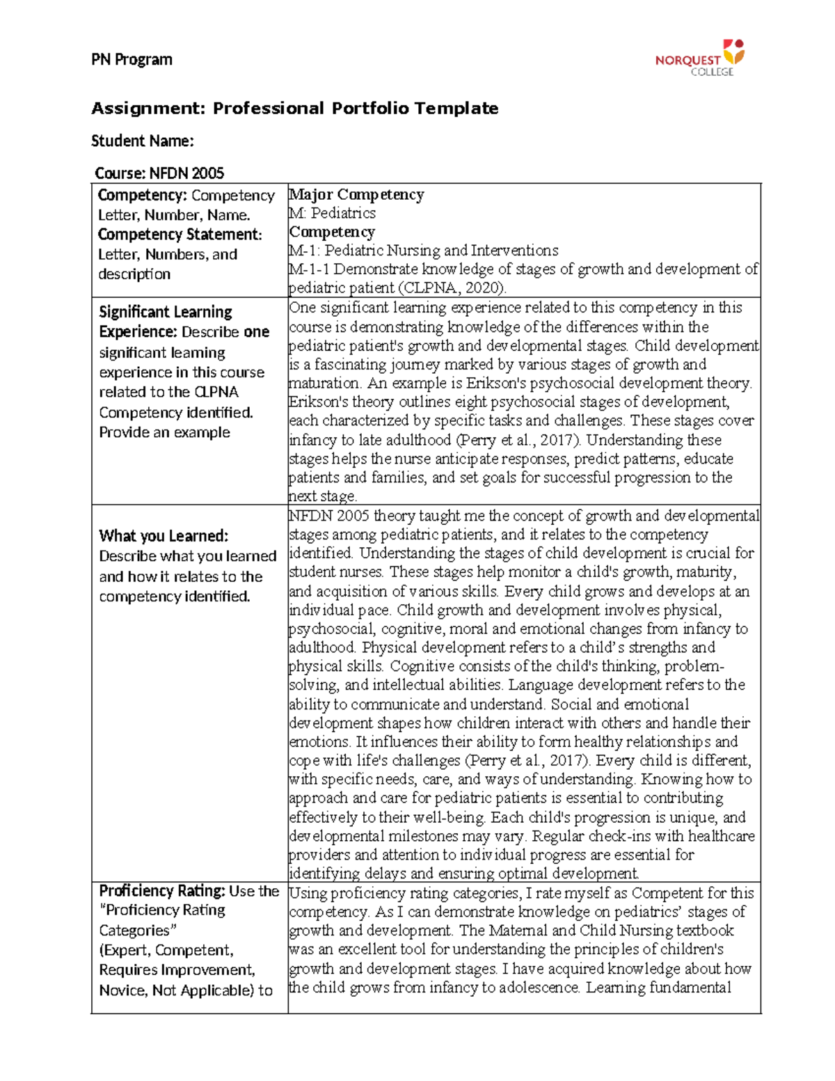 NFDN2005-Assignment 2 - PN Program Assignment: Professional Portfolio ...