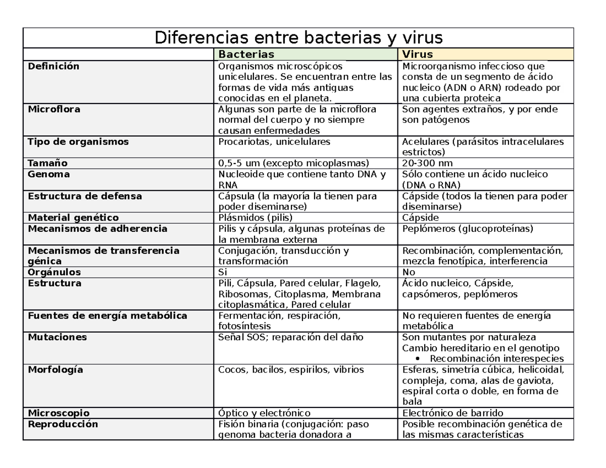 Diferencias Entre Infección Viral Y Bacteriana www.studocu.com
