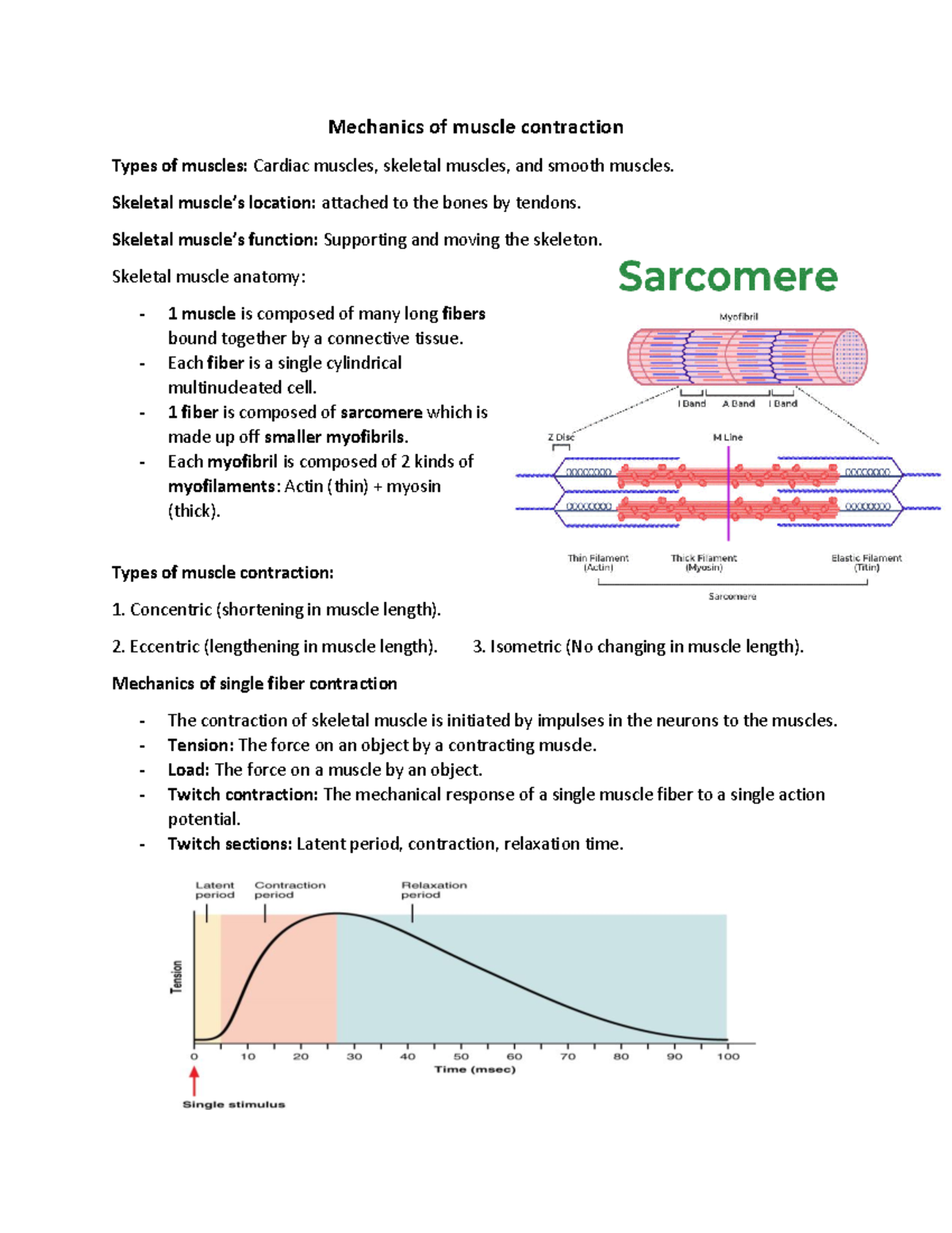 Mechanics of muscle contraction - Skeletal muscle’s location: attached ...