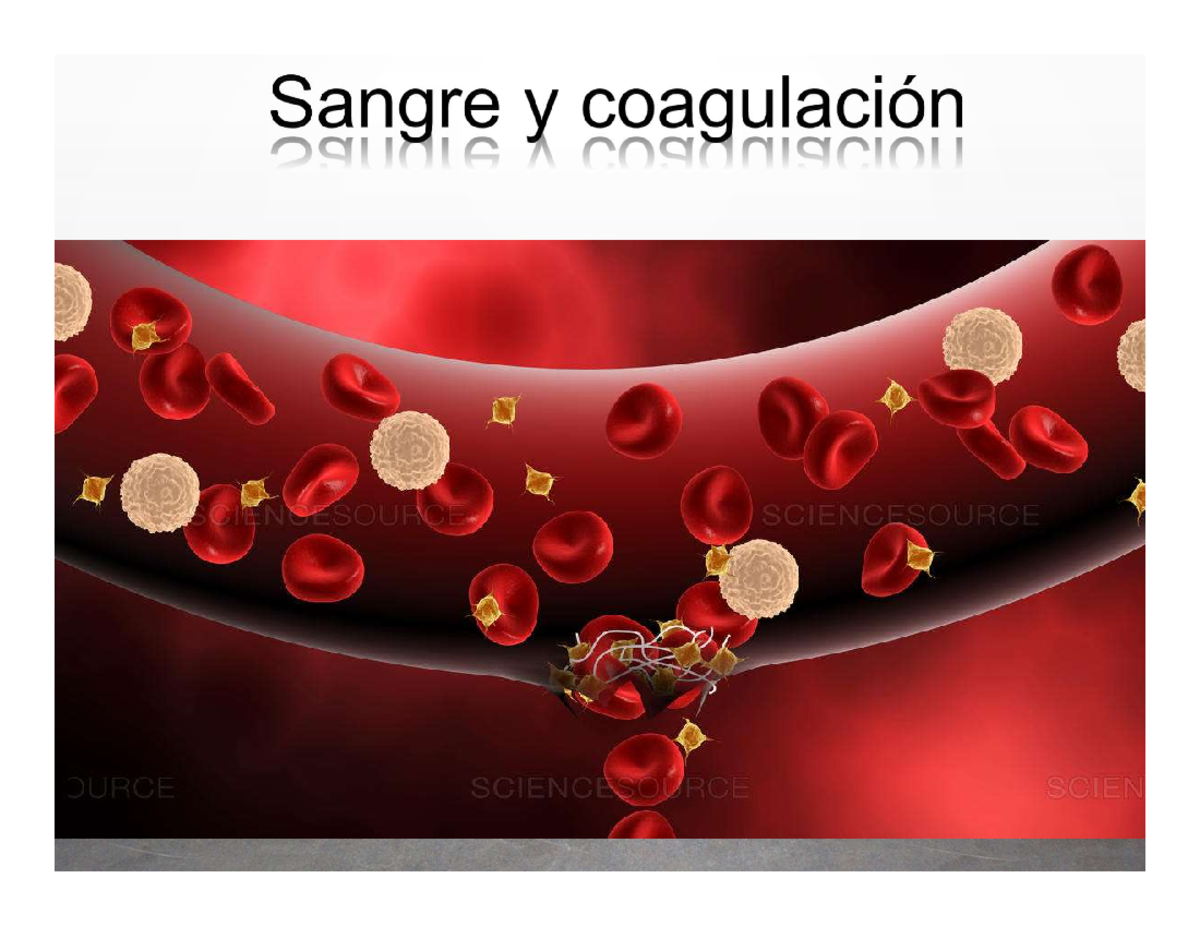 Sangre y Coagulación - BIOQUIMICA - Junto con la médula espinal
