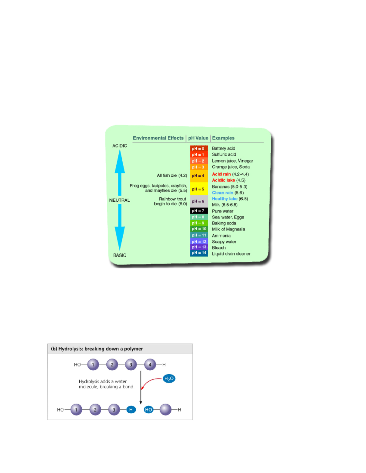 Diagrams - BIOL 1500 - Studocu