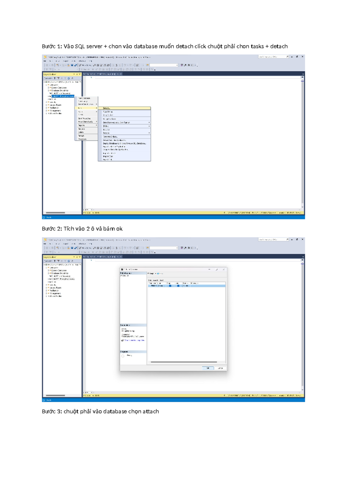 Ph48831 phung huy truong lab1 software testing b c 1 v o sql