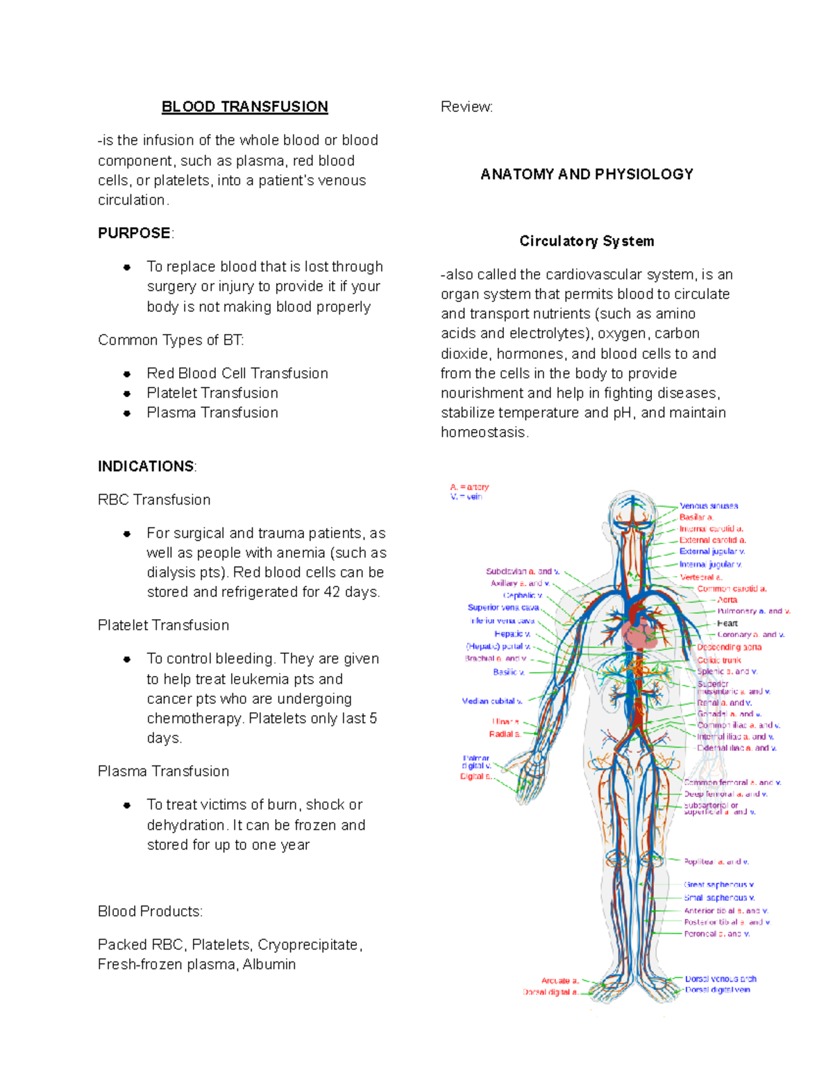 Handouts Blood Transfusion IV Therapy IV Incorporation - BLOOD ...