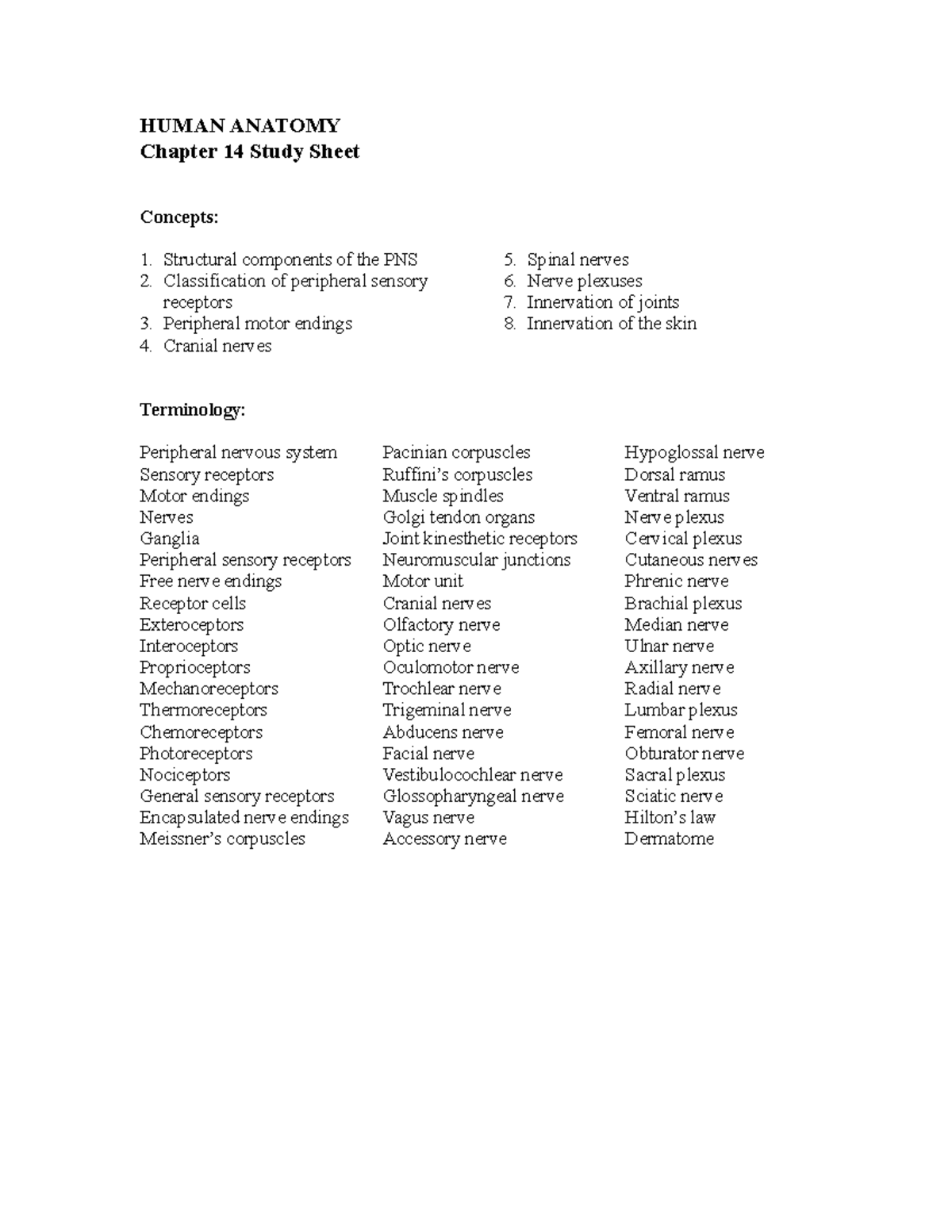 Chapter 14 study sheet(1) copy - HUMAN ANATOMY Chapter 14 Study Sheet ...