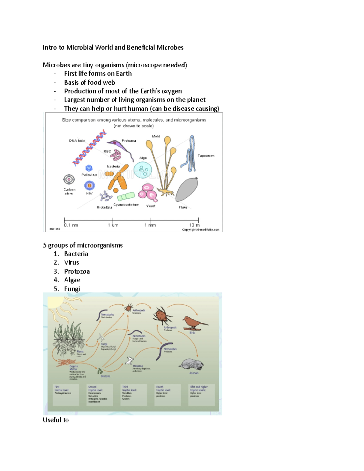 Intro to the Microbial World and Beneficial Microbes - Intro to ...