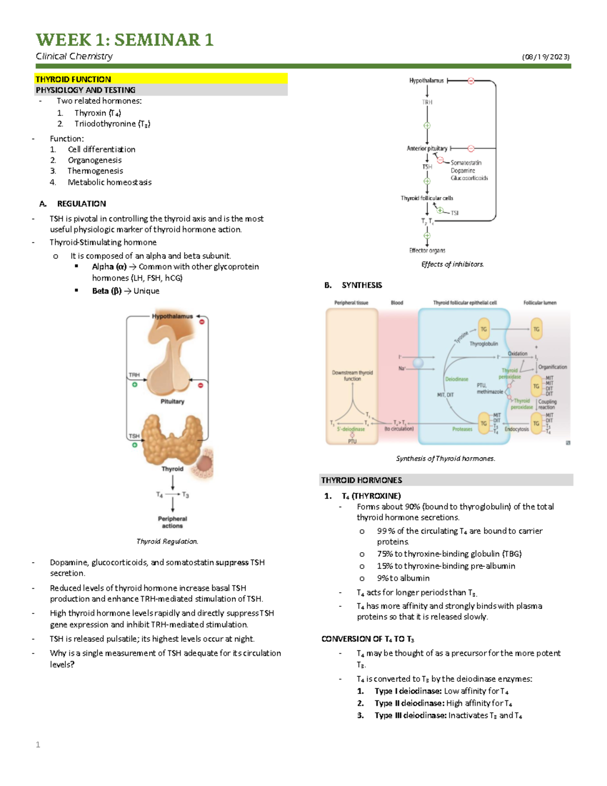 Thyroid Function - WEEK 1: SEMINAR 1 Clinical Chemistry (08/19/2023) 1 ...