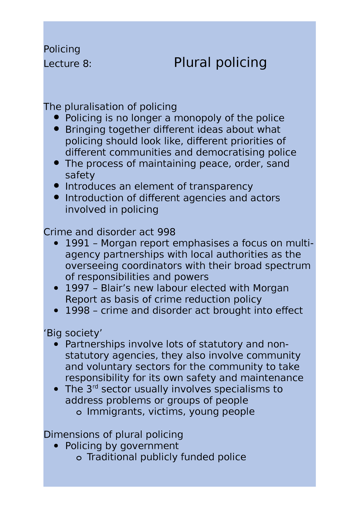 plural policing essay