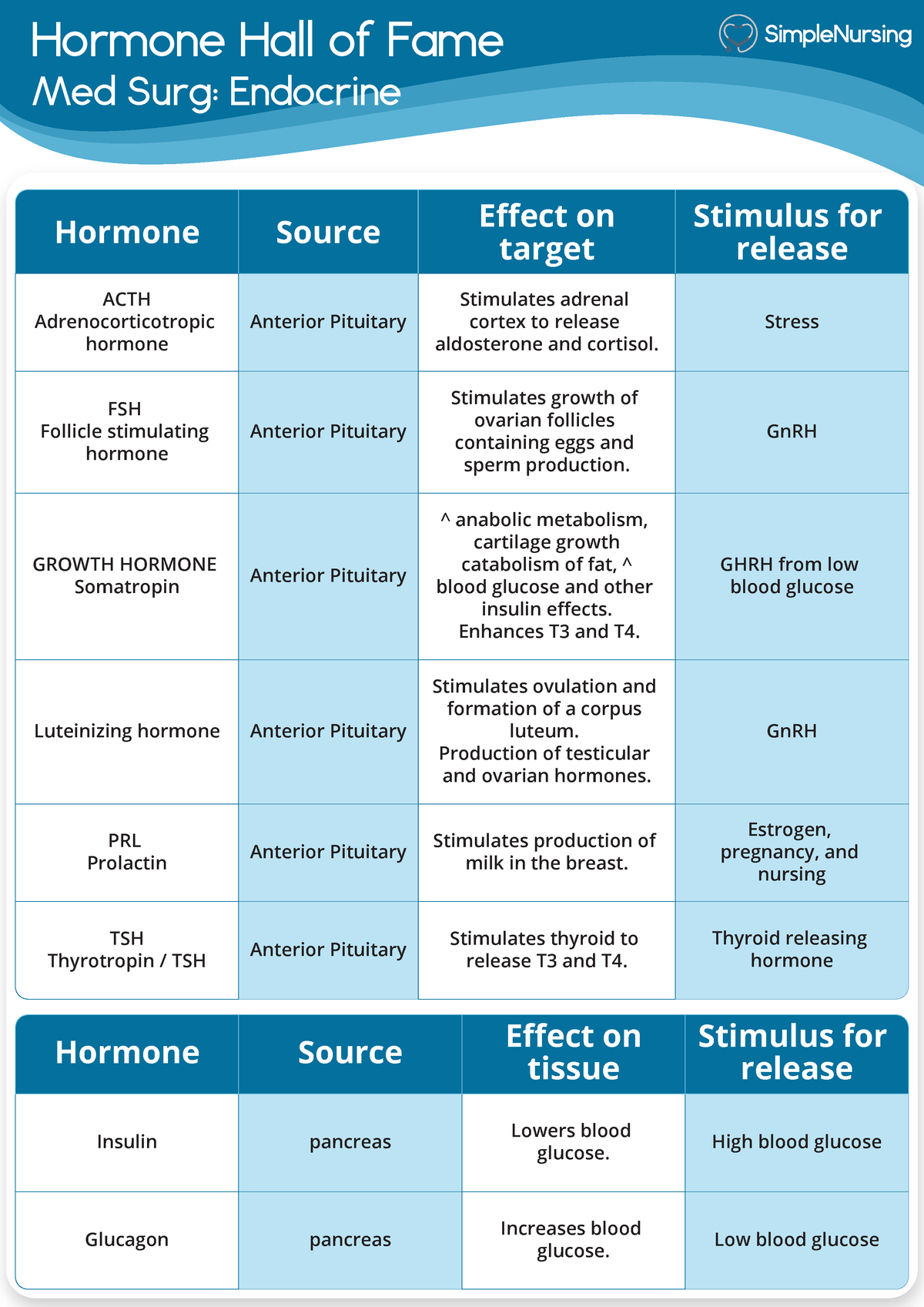 Endocrine - Hormone List 1 of 3 - Hormone Hall of Fame Med Surg ...