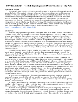 Module 1 Scientific Method 2024 - Name ...