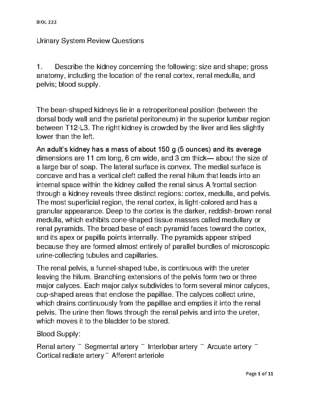 BIOL 222 Urinary System Review Questions - Urinary System Review ...