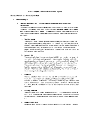 IT 145 Global Rain Summary Report Template - Developer: Matthew Chenel ...