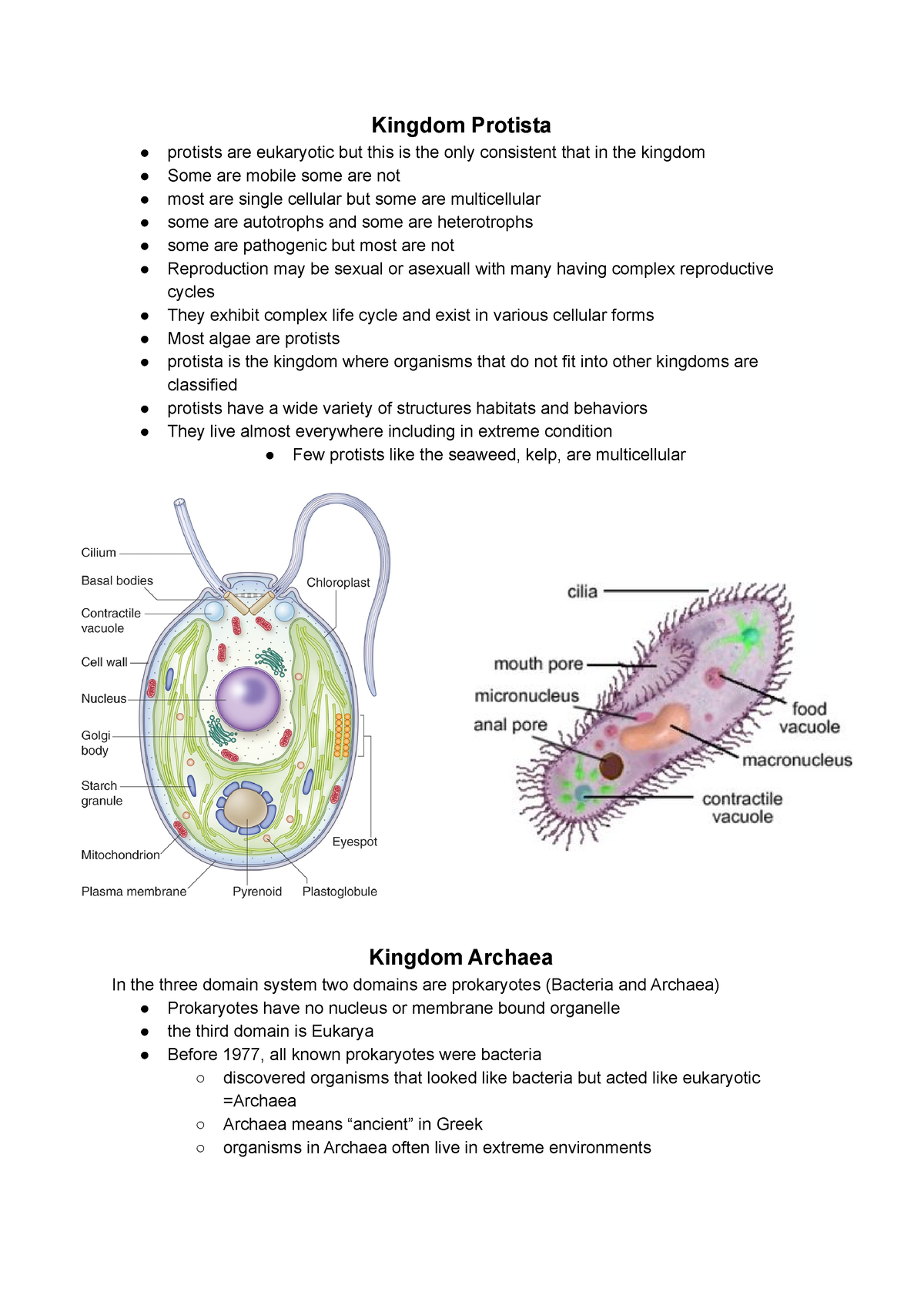 Kingdom Protista - Kingdom Protista protists are eukaryotic but this is ...