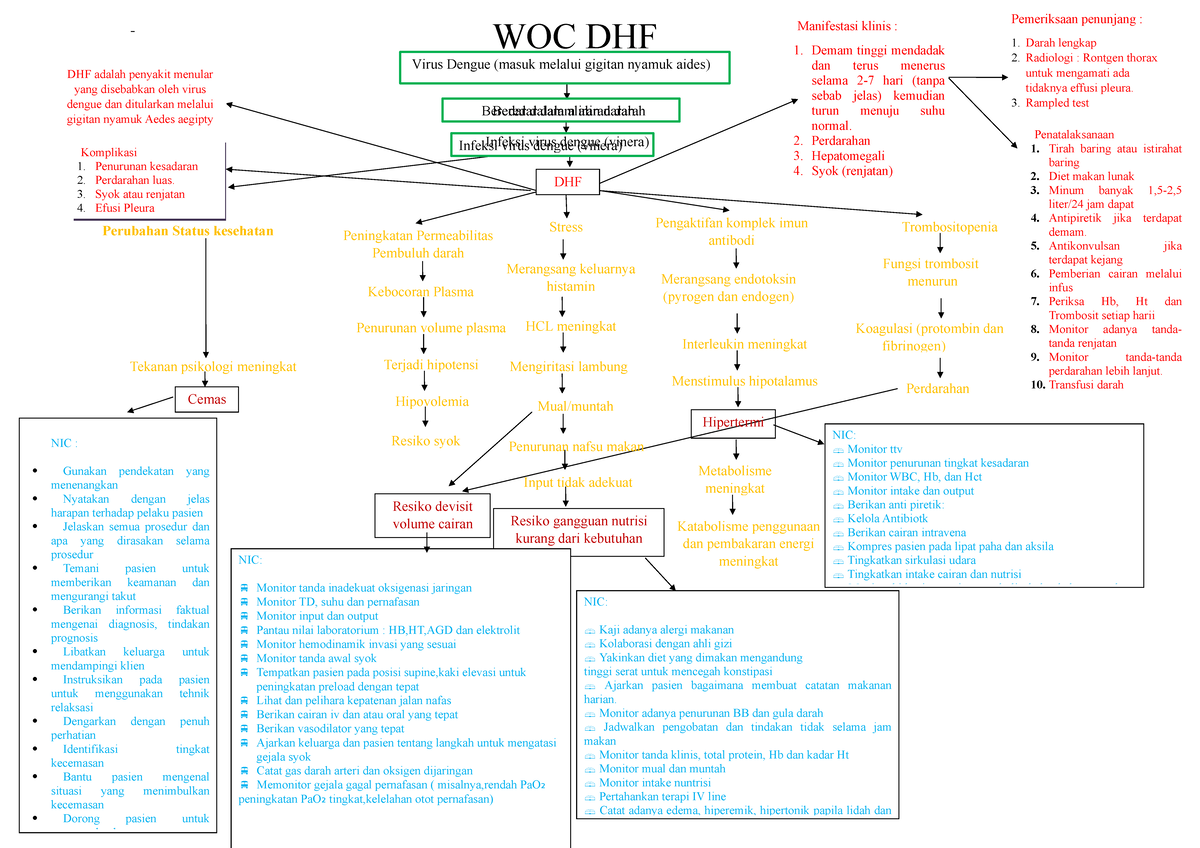 Kelompok 2 WOC DHF - Hhh - WOC DHF Virus Dengue (masuk melalui gigitan ...