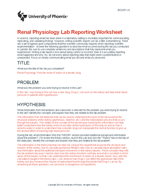 Lab Report – Cell Structure - BIO/290 V Lab Report – Cell Structure In ...