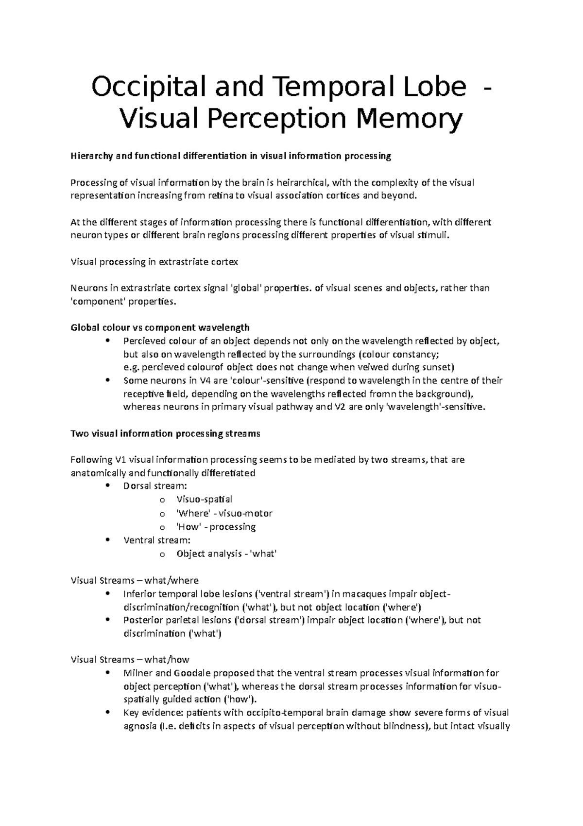 Occipital and Temporal Lobe - Visual Perception Memory - Occipital and ...
