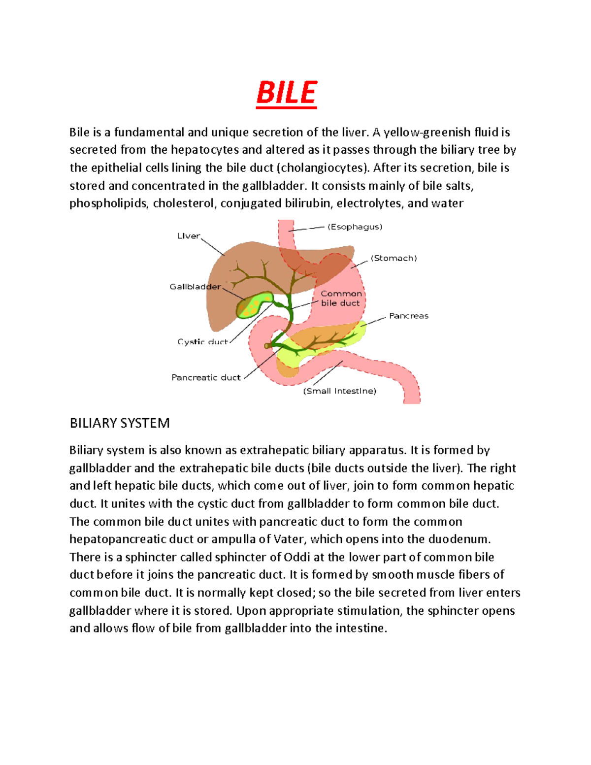 BILE ABOUT BILE BILE Bile is a fundamental and unique secretion of