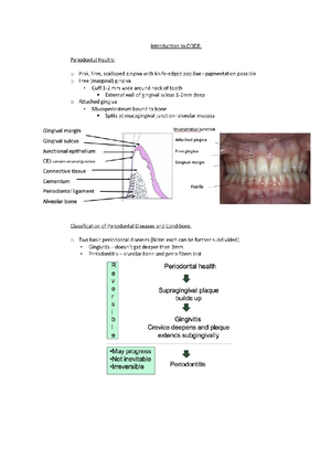 Intraoral Radiography Techniques - Intraoral Radiography Techniques ...