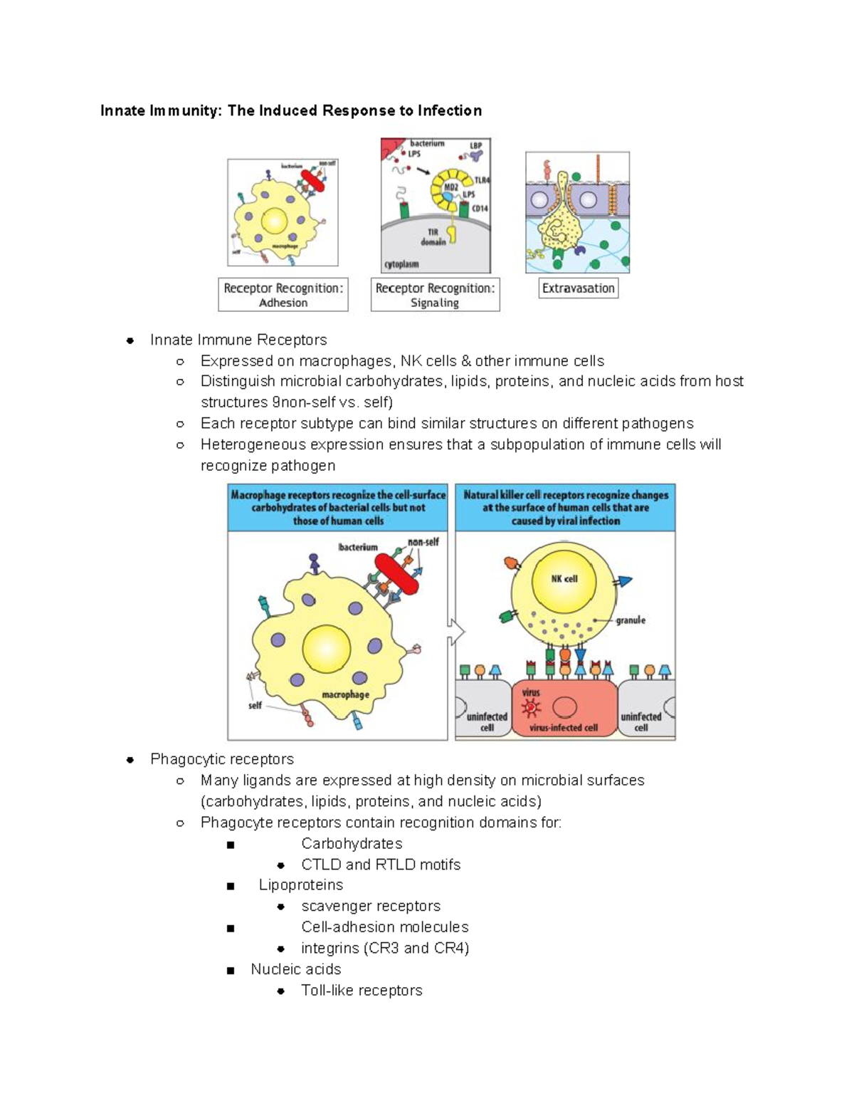 Chapter 3 Immuno - Innate Immunity: The Induced Response to Infection ...