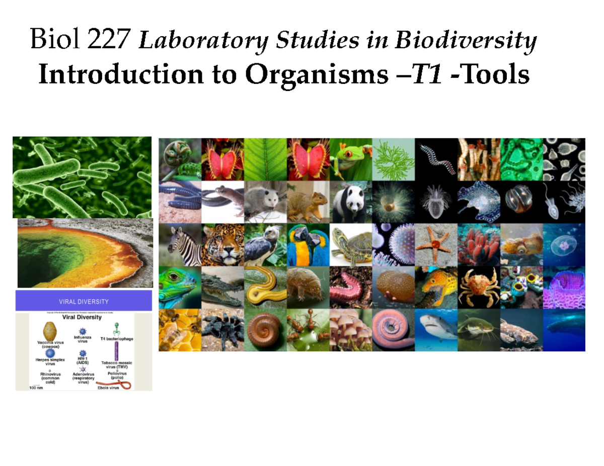 T1 Tools Biol227F2020 - Biol 227 Laboratory Studies in Biodiversity ...