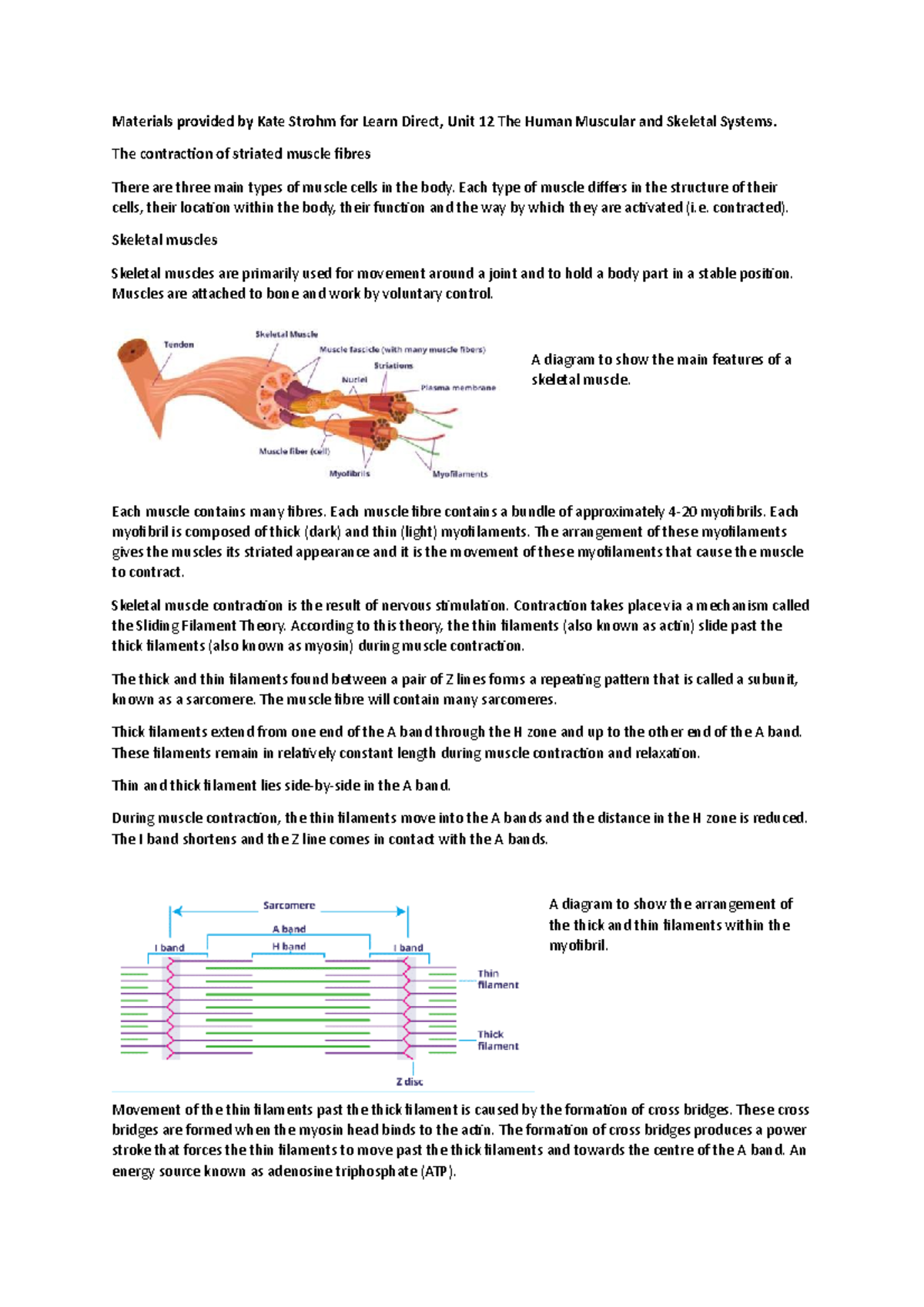 Notes on Sliding Filament Theory - StuDocu