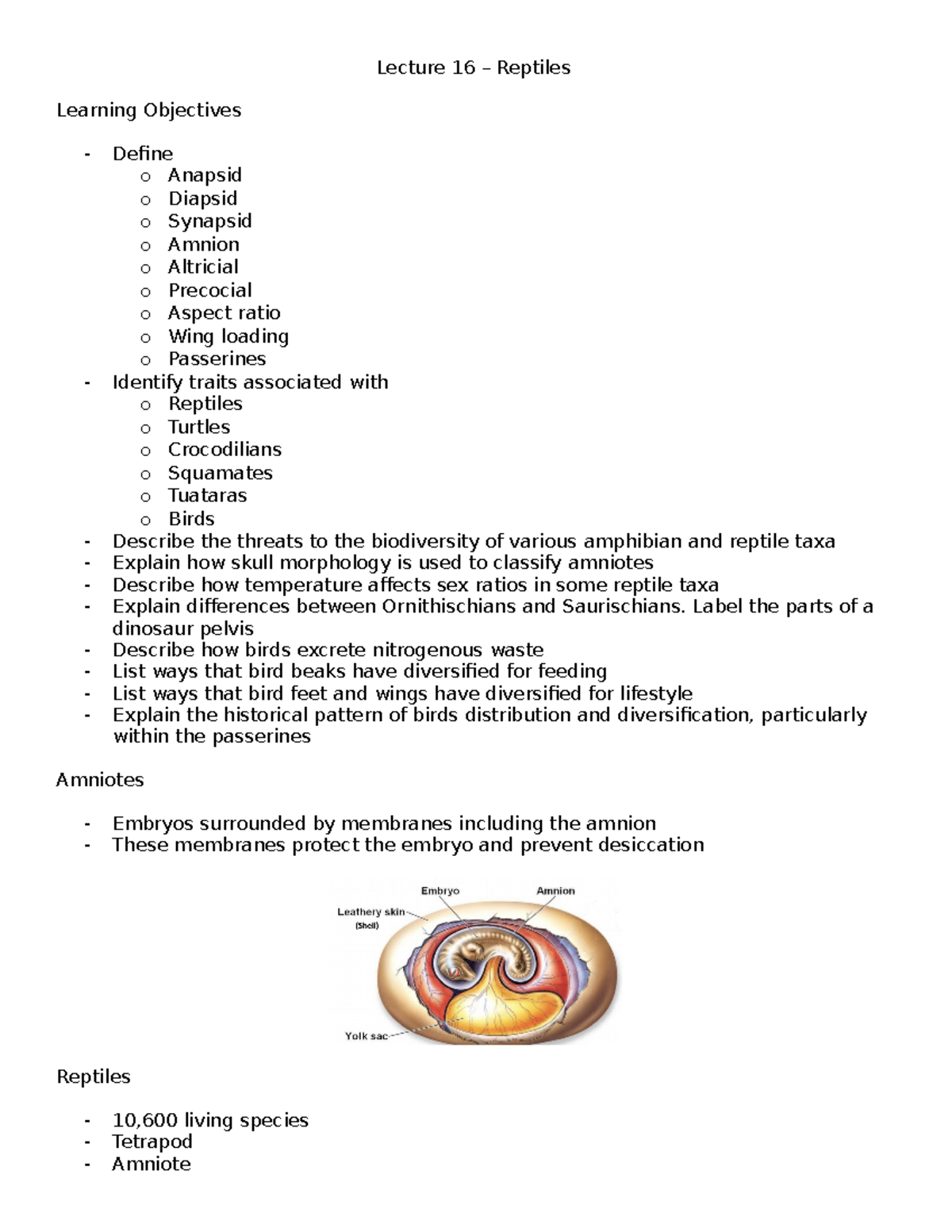 Lecture 16 Reptiles Lecture 16 Reptiles Learning Objectives