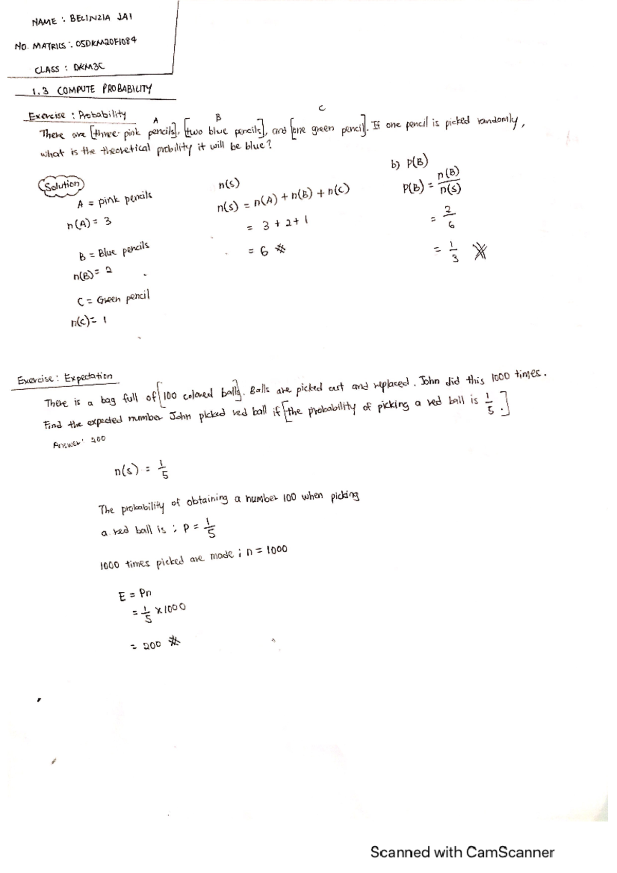DBM30033 Exercise 1.3 Compute Probability - engineering mathematic 3 ...