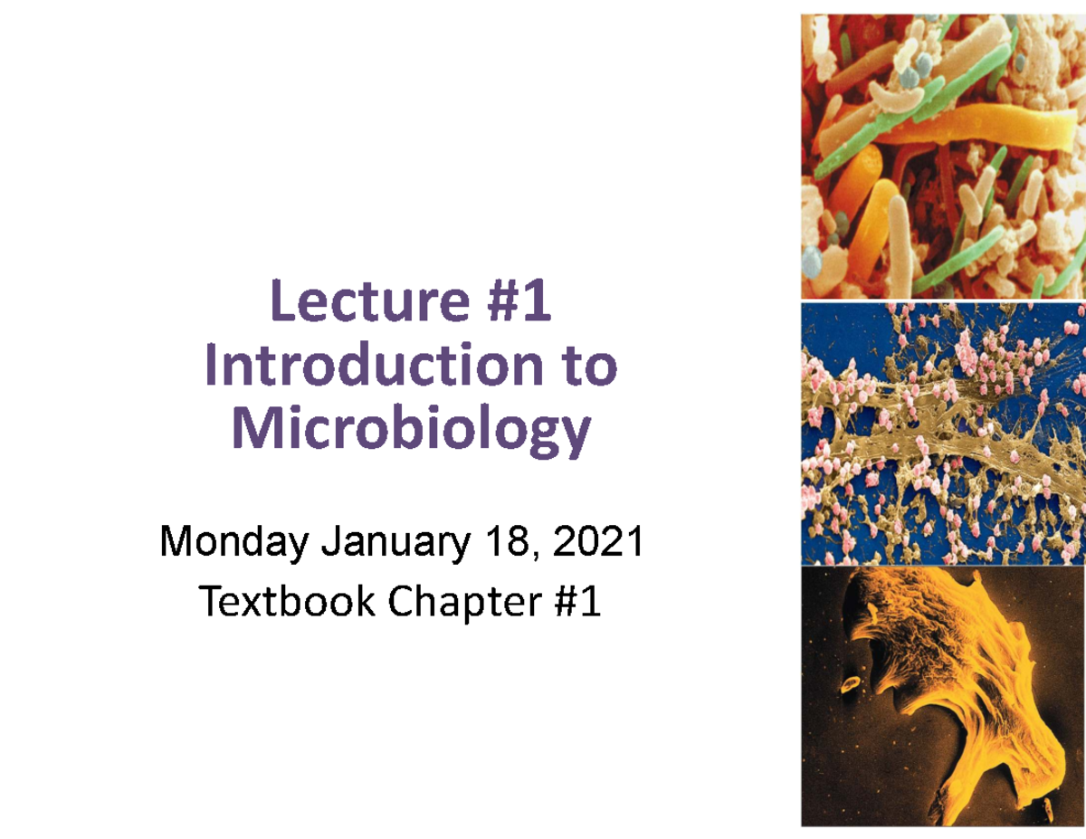 Microbiology 1 9 Midterm 2 - Lecture Introduction To Microbiology ...