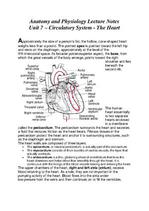 Skeletal System - Individual Reflection - Skeletal System KEY TERMS 1 ...