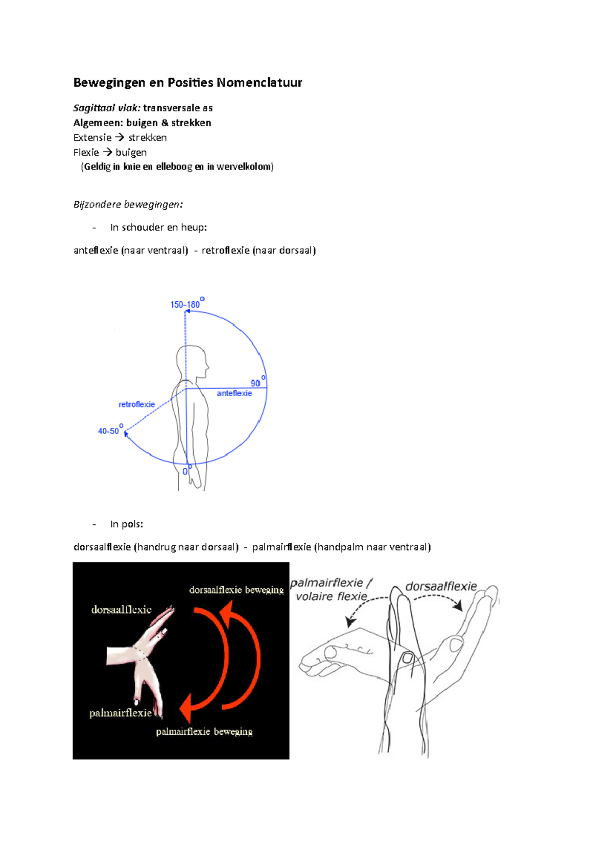 Samenvatting Nomenclatuur Bewegingen En Posities (Houding ...