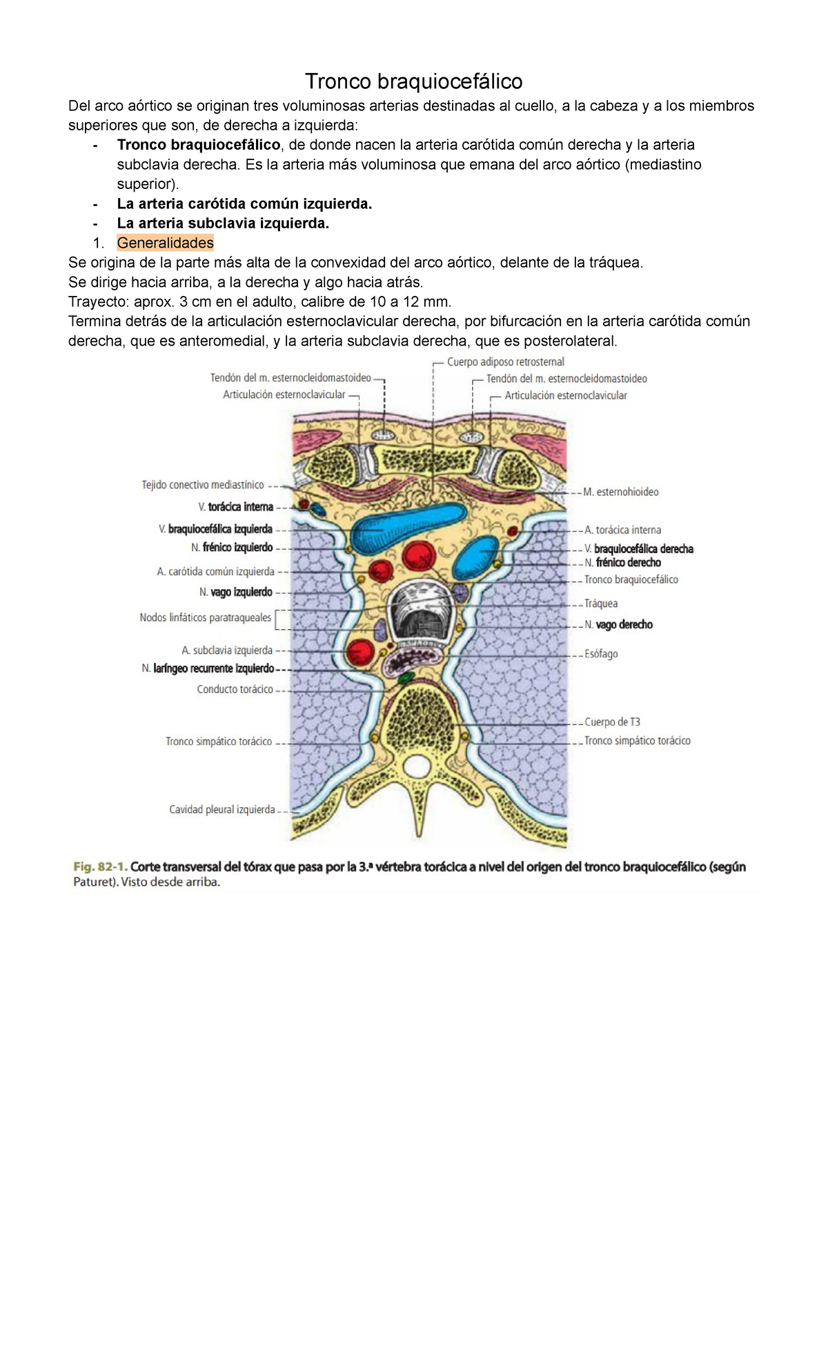 Tronco braquiocefálico Latarjet Cap 82 Tronco braquiocefálico Del