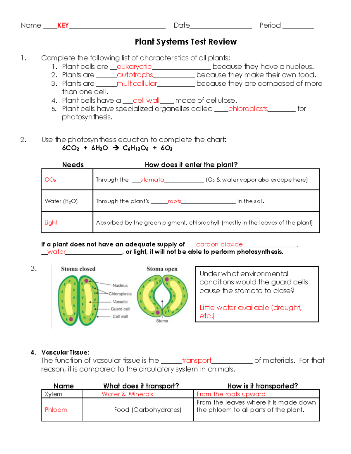 Plant Test Review Sheet KEY 20-21 - Name KEY ...