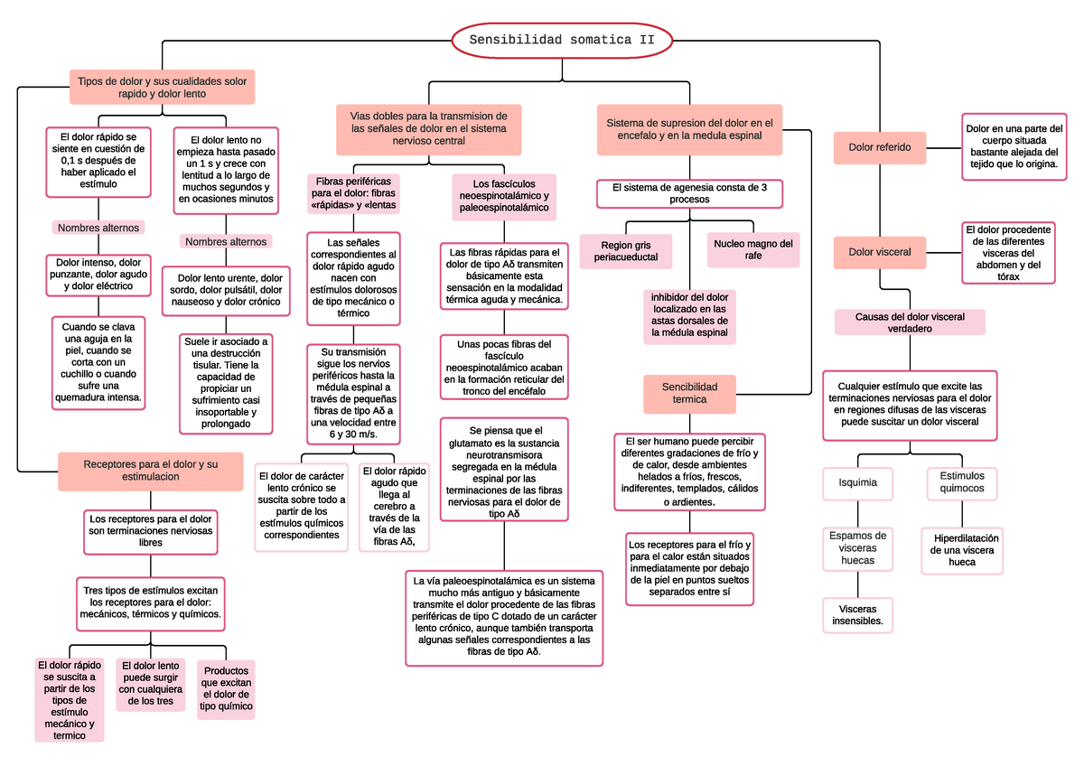 Mapa conceptual: Sensibilidad somatica II - Fisiologia - UAEH - Studocu