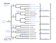 01:119:116 - Rutgers - General Biology II - Studocu