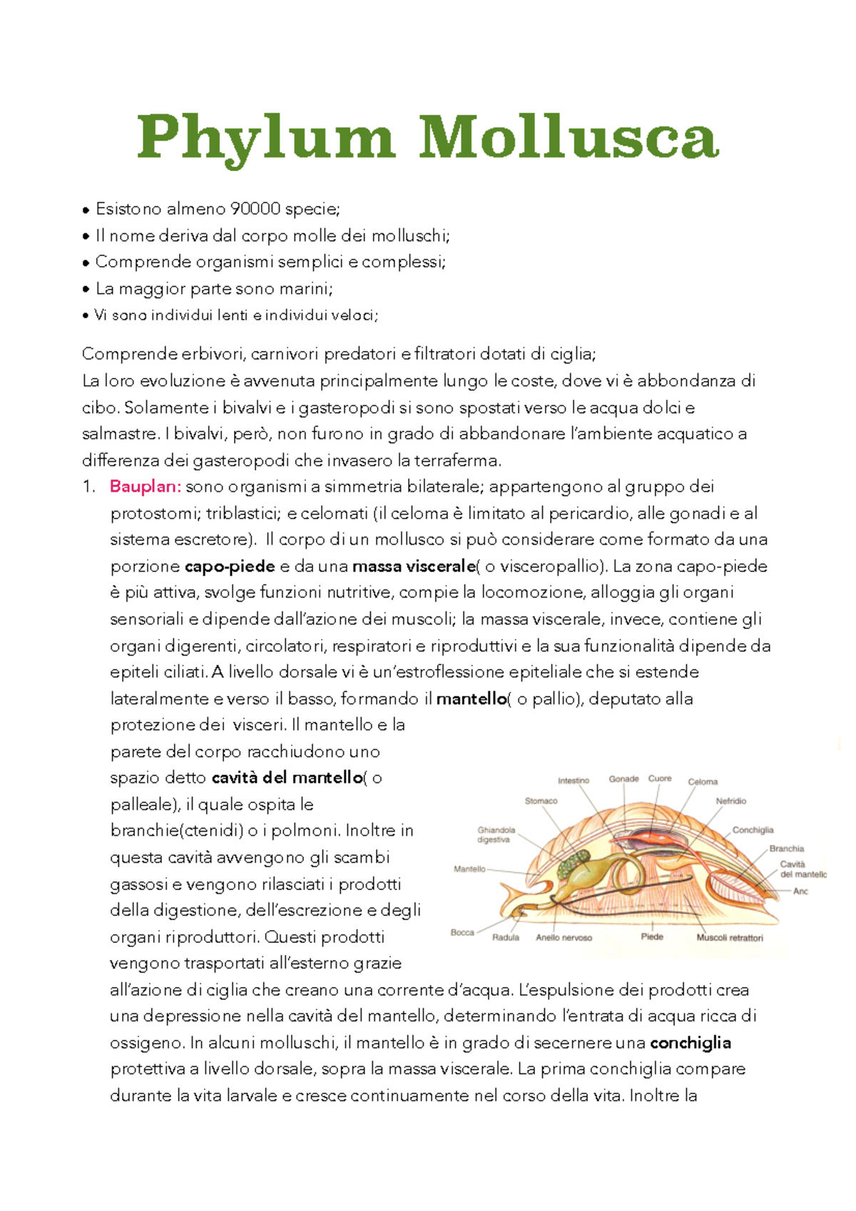 Riassunto Molluschi, Platelminti, Rotiferi e Nematodi Slide + Libro ...