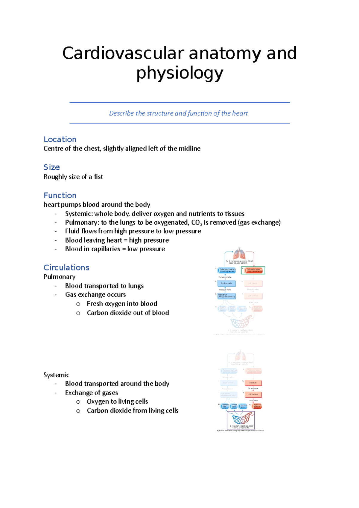 Cardiovascular Anatomy And Physiology - Cardiovascular Anatomy And ...