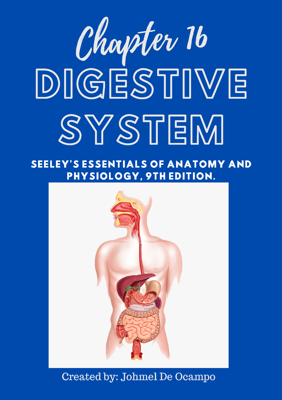 Anatomy Physiology (Chapter 16 Digestive System) - DIGESTIVE SYSTEM ...