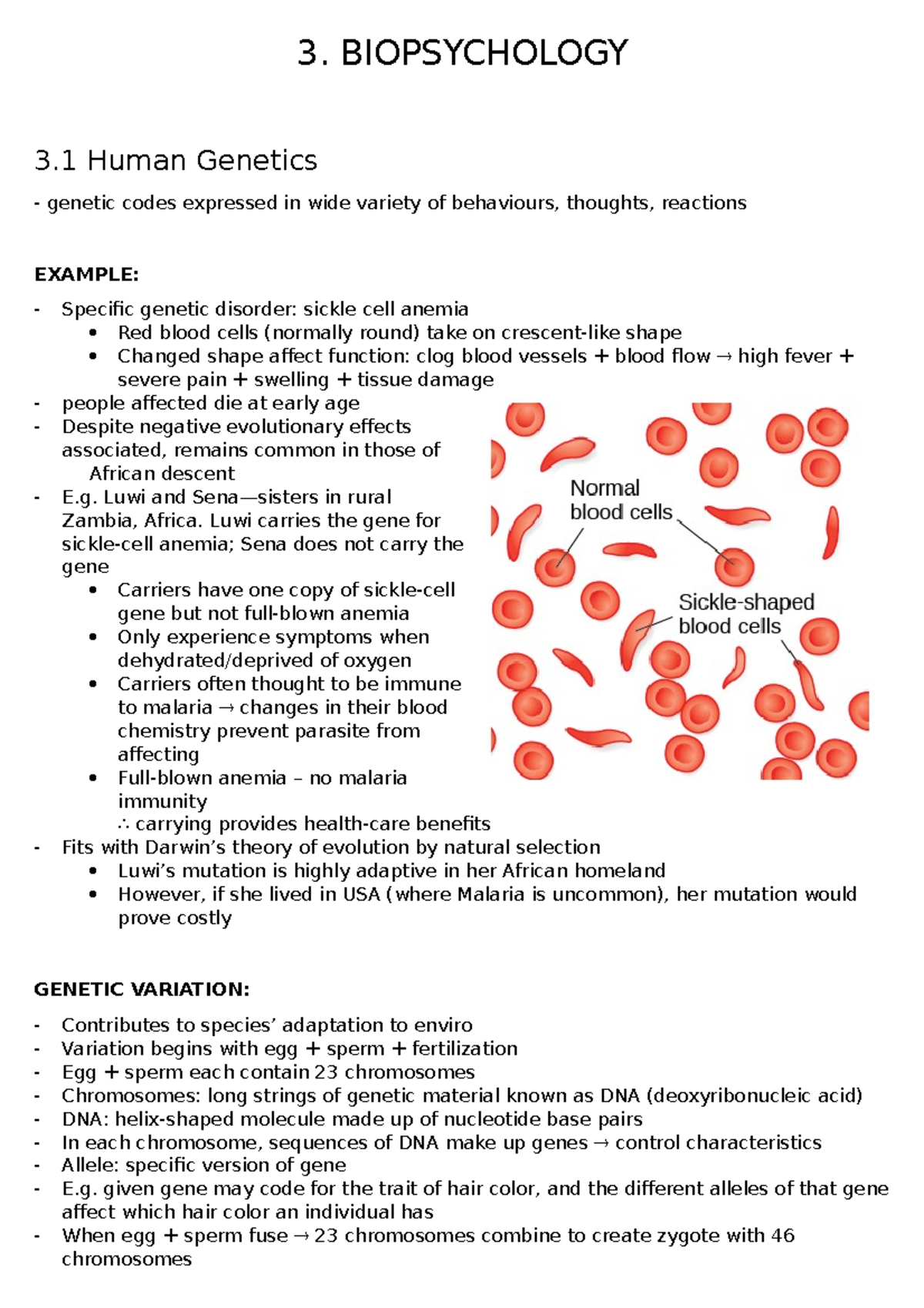 3. Biopsychology - Chapter notes from textbook. - 3. BIOPSYCHOLOGY 3 ...