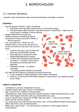 Psych 1010 notes - CHAPTER 10 Psych 1010 10 SOCIAL PSYCHOLOGY The study ...