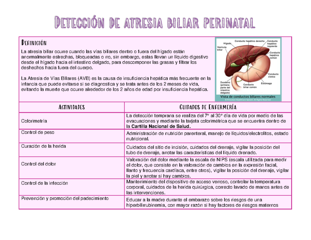 Detección de Atresia biliar Perinatal - DefiniciÛn La atresia biliar ...