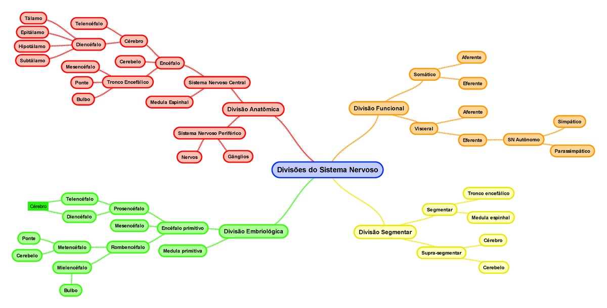 Mapa Mental Sistema Nervoso grande revisão - Cérebro Divisões do Sistema  Nervoso Divisão Anatômica - Studocu