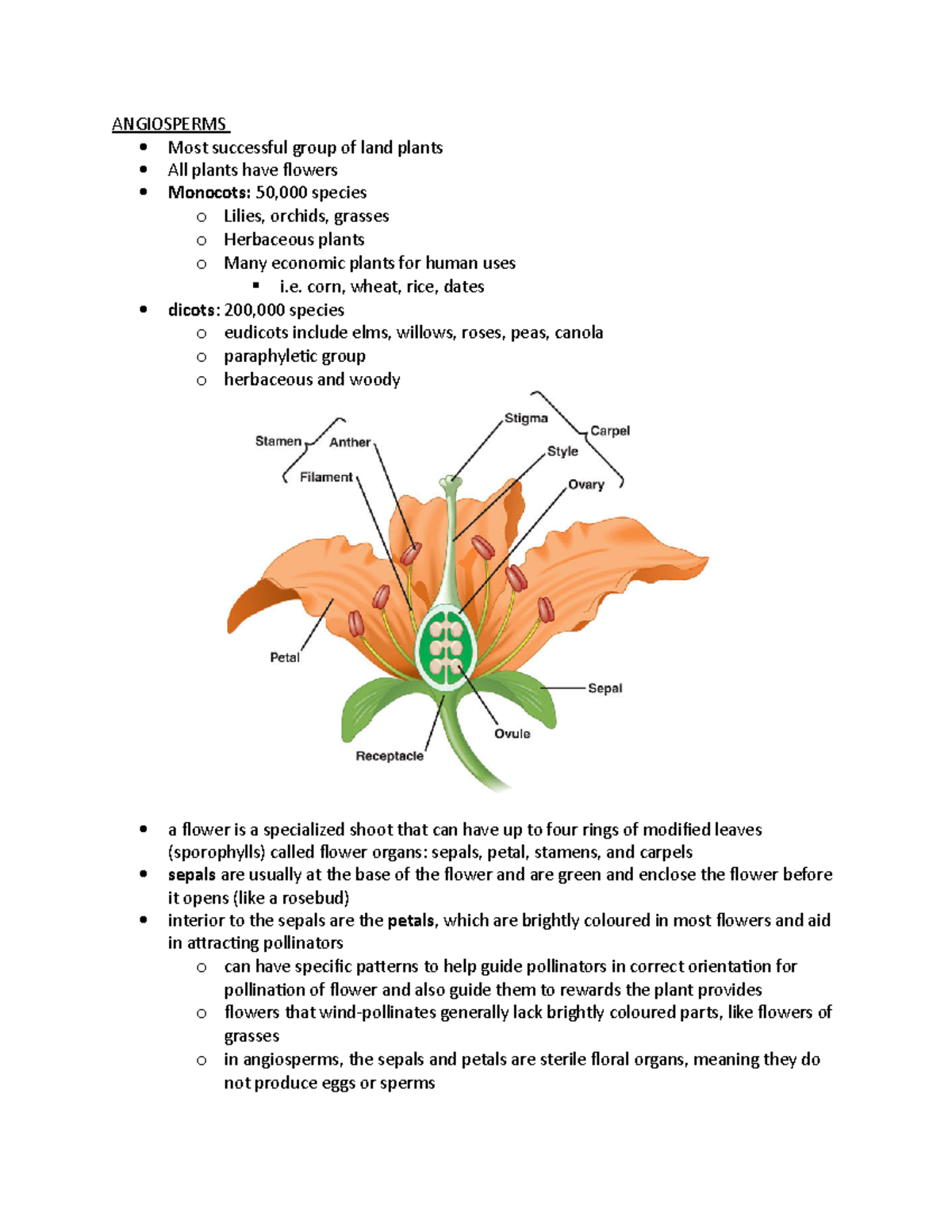 Angiosperms ANGIOSPERMS Most successful group of land plants All