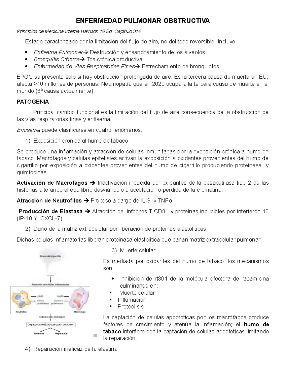 Snusat-Sample-paper - Summary Principios de medicina interna, 19 ed ...