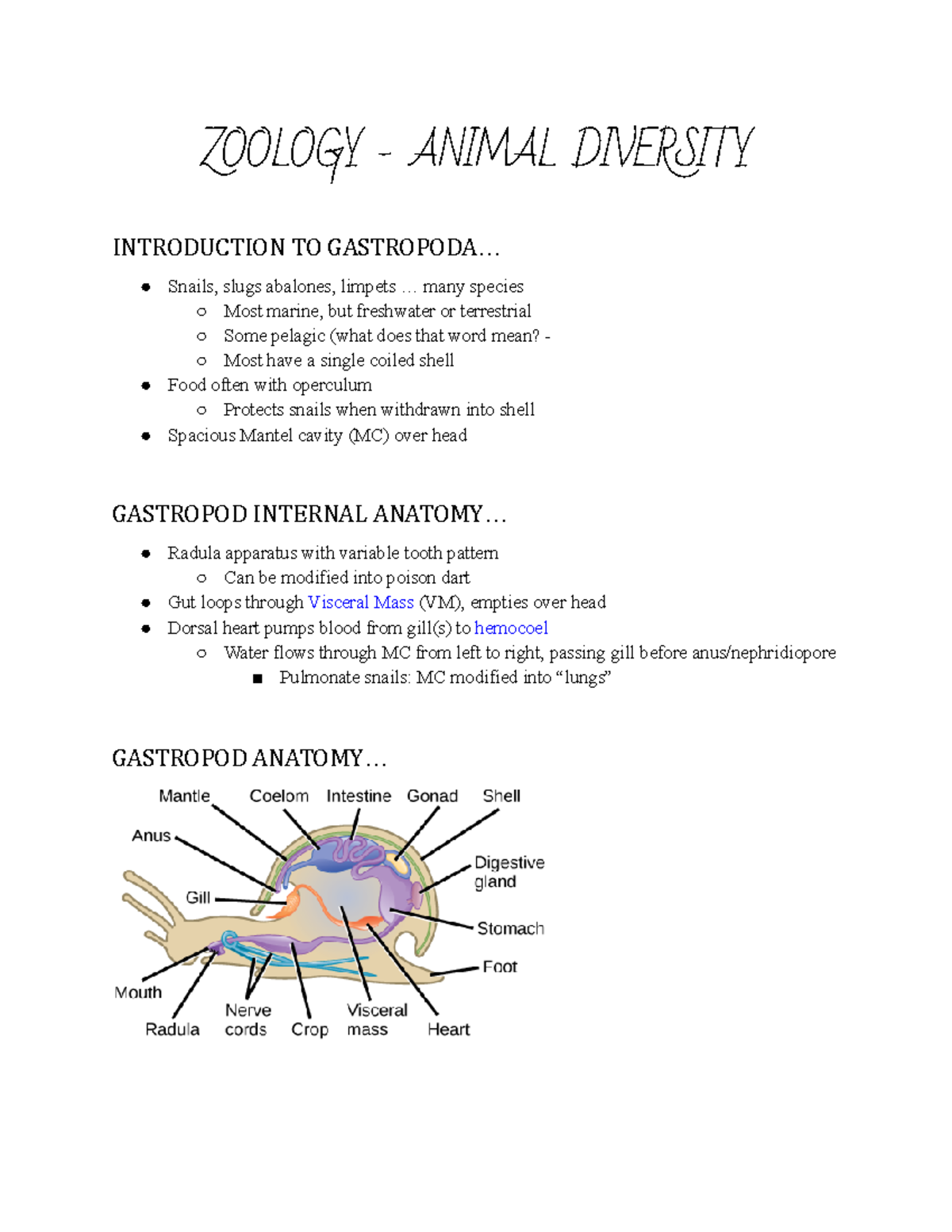 Zoology Notes Part 11 - ZOOLOGY - ANIMAL DIVERSITY INTRODUCTION TO ...