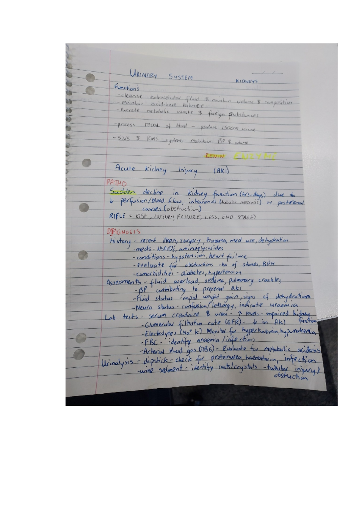 Urinary Exam notes for AKI Renal conditions URINARY SYSTEM KIDNEYS