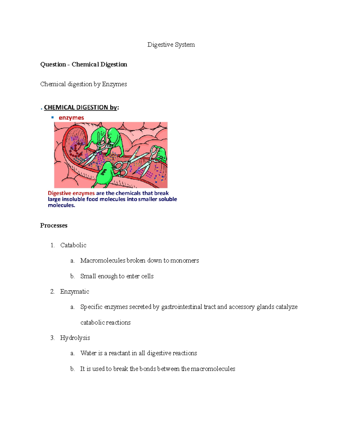 Digestive System Catabolic a. Macromolecules broken down to monomers