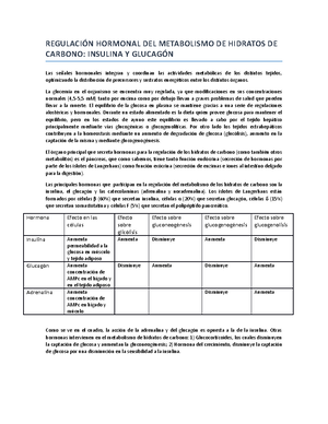 esquema general metabolismo con el estrés