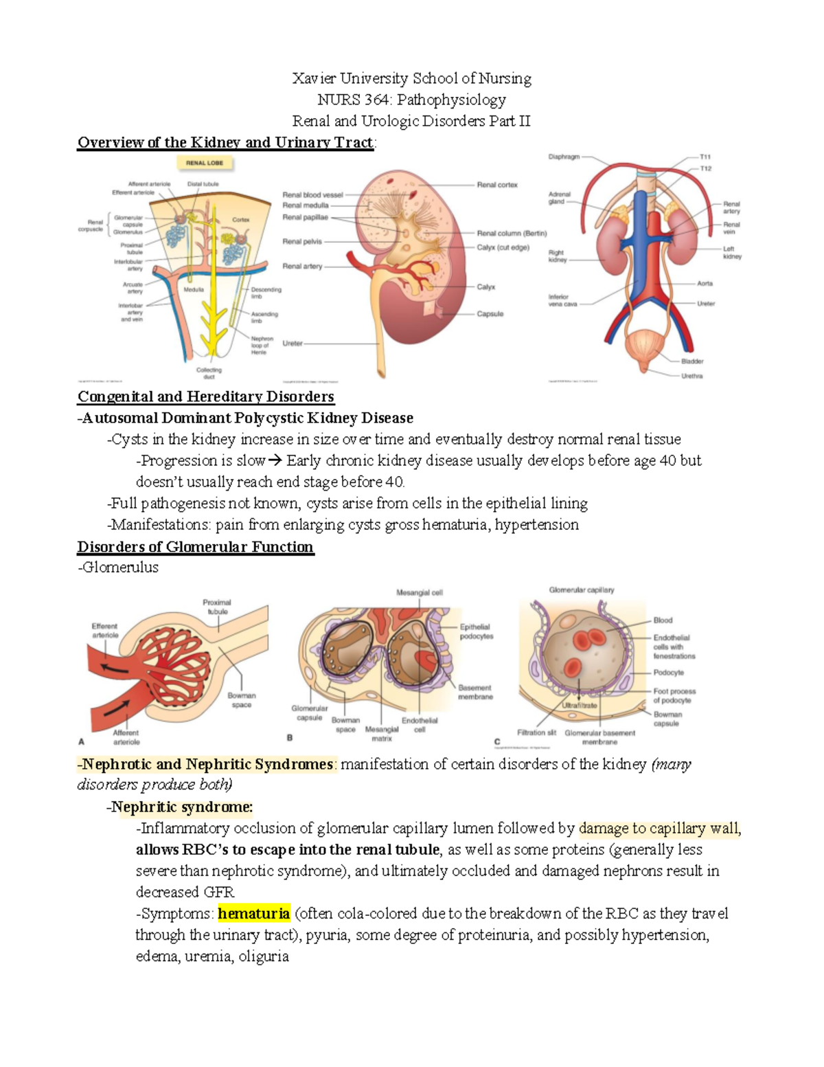 Renal+and+Urologic+Disorders+notes+II+ Answers - Xavier University ...