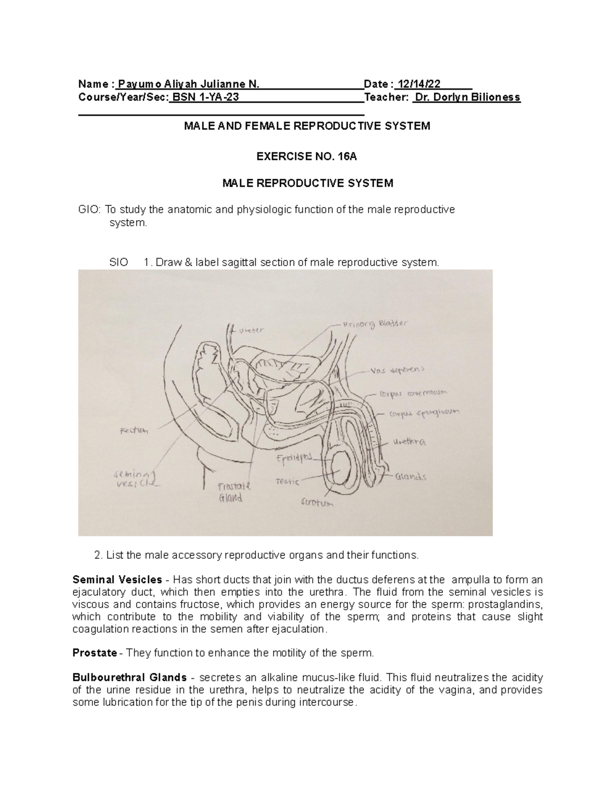 WEEK 17 LAB Exercise - Name : Payumo Aliyah Julianne N. Date : 12/14 ...