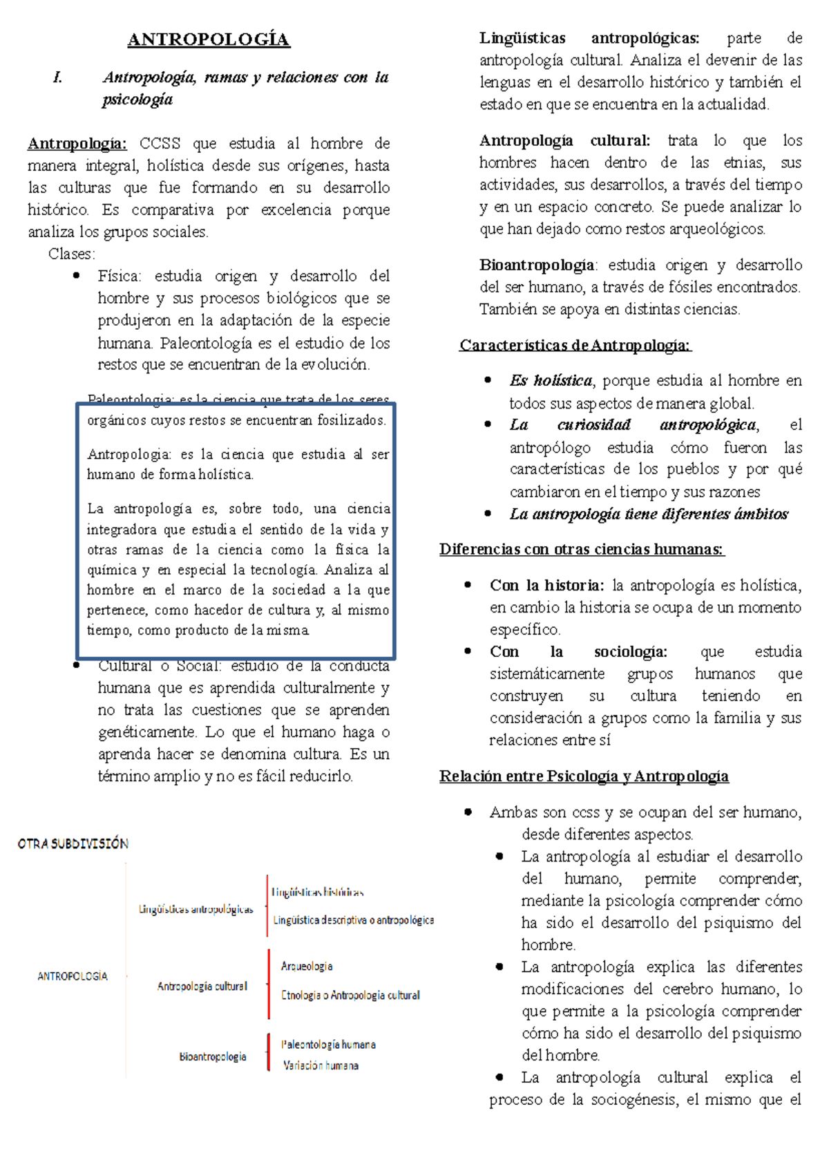 Antropología - Resumen Del Curso De Antropologia Para El Examen Parcial ...